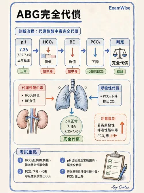 呼吸治療師 - 動脈血液氣體分析與氧合評估 - AI 圖文解析預覽