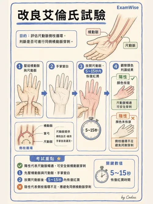 呼吸治療師 - 動脈血液氣體分析與氧合評估 - AI 圖文解析預覽