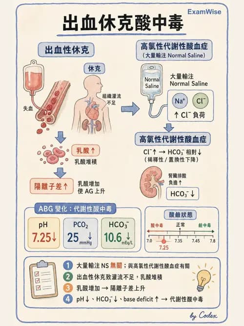 呼吸治療師 - 動脈血液氣體分析與氧合評估 - AI 圖文解析預覽