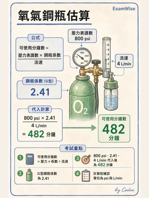 呼吸治療師 - 氣體輸送系統與氧氣治療 - AI 圖文解析預覽
