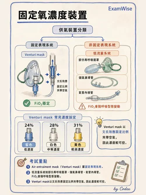 呼吸治療師 - 氣體輸送系統與氧氣治療 - AI 圖文解析預覽