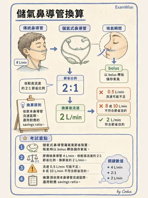 呼吸治療師 - 氣體輸送系統與氧氣治療 - AI 圖文解析預覽