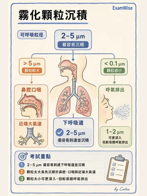 呼吸治療師 - 濕氣與霧氣治療 - AI 圖文解析預覽