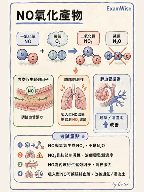 呼吸治療師 - 醫療氣體製造與儲存 - AI 圖文解析預覽