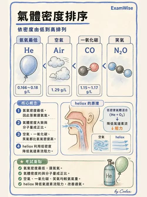 呼吸治療師 - 氣體物理學 - AI 圖文解析預覽