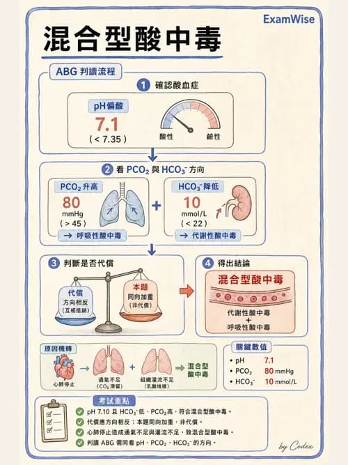 呼吸治療師 - 動脈血氣體分析設備 - AI 圖文解析預覽