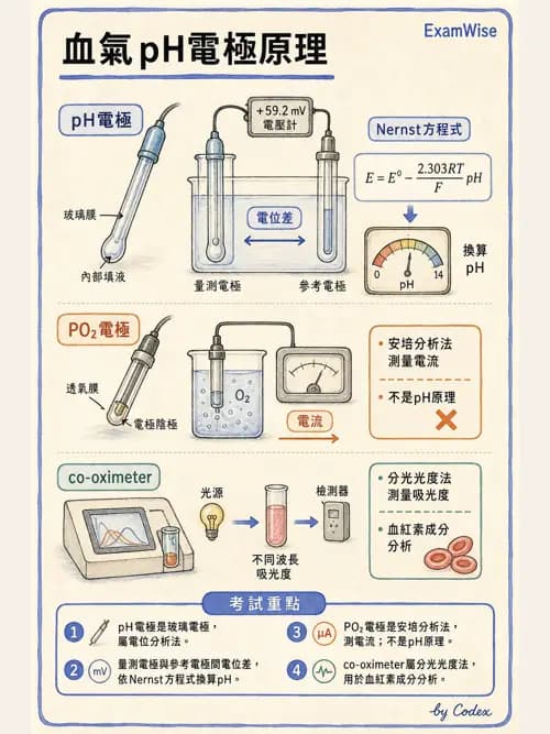 呼吸治療師 - 動脈血氣體分析設備 - AI 圖文解析預覽