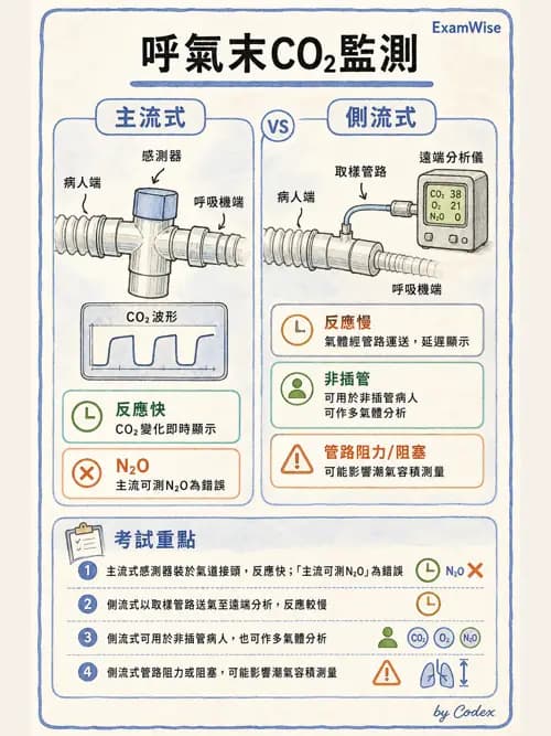 呼吸治療師 - 非侵入性呼吸監測設備 - AI 圖文解析預覽