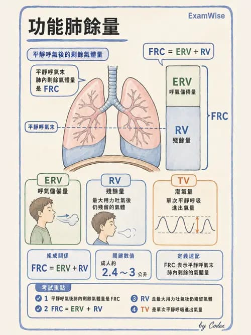 呼吸治療師 - 呼吸機械力學監測 - AI 圖文解析預覽