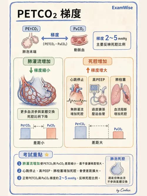 呼吸治療師 - 非侵入性呼吸監測設備 - AI 圖文解析預覽