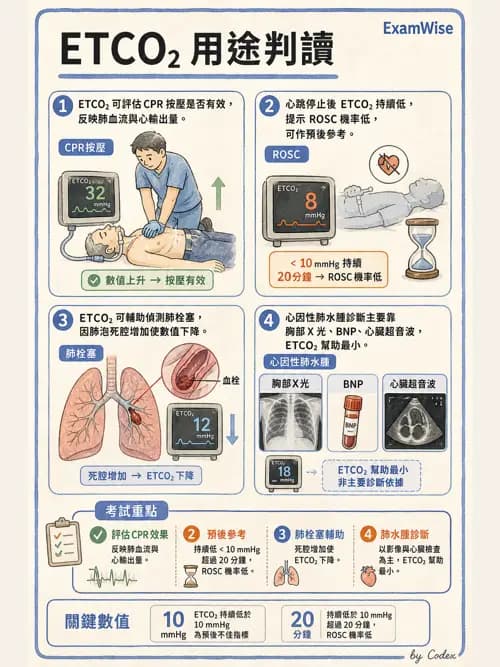 呼吸治療師 - 非侵入性呼吸監測設備 - AI 圖文解析預覽