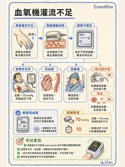 呼吸治療師 - 非侵入性呼吸監測設備 - AI 圖文解析預覽