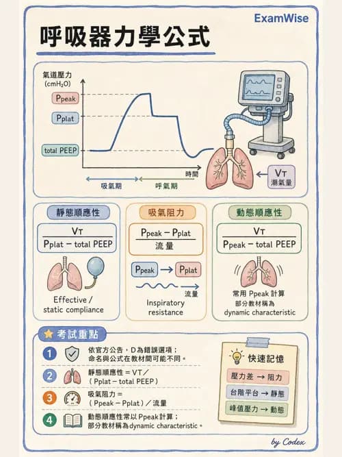 呼吸治療師 - 呼吸機械力學監測 - AI 圖文解析預覽