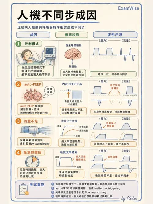 呼吸治療師 - 呼吸機械力學監測 - AI 圖文解析預覽