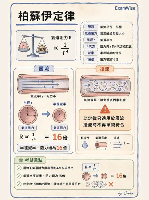 呼吸治療師 - 氣體物理學 - AI 圖文解析預覽