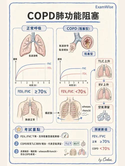 呼吸治療師 - 呼吸機械力學監測 - AI 圖文解析預覽