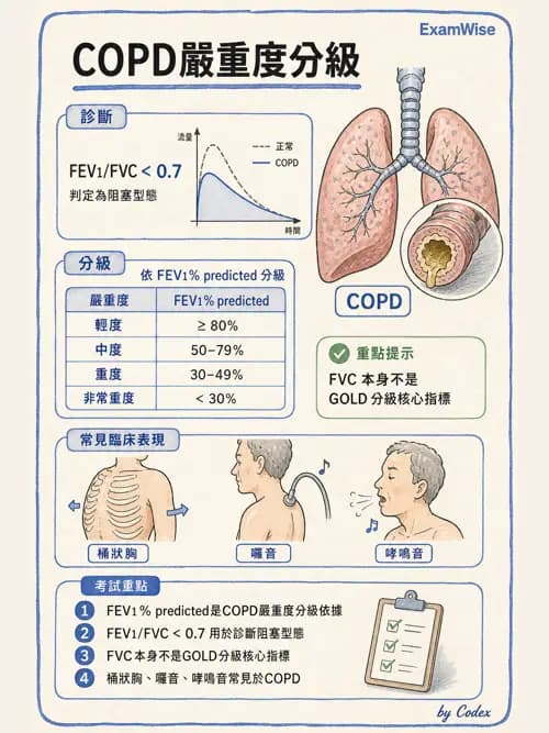 呼吸治療師 - 呼吸機械力學監測 - AI 圖文解析預覽