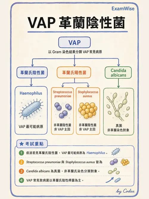 呼吸治療師 - 呼吸照護設備消毒 - AI 圖文解析預覽