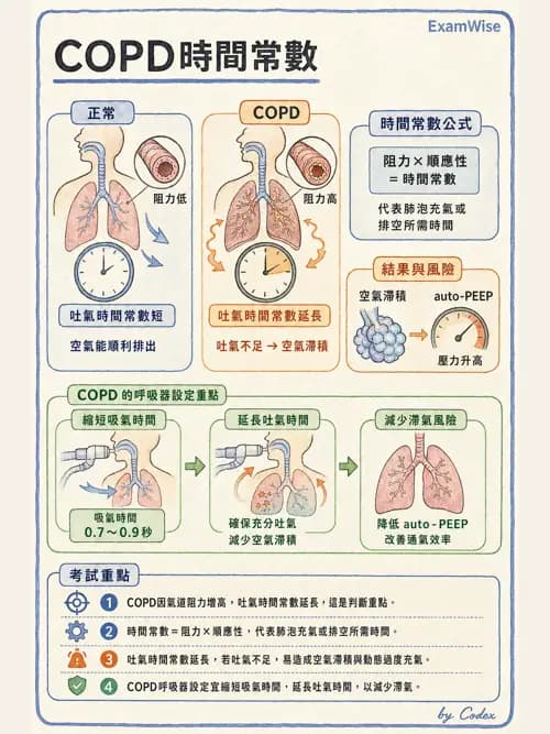 呼吸治療師 - 臨床設定、參數調整與脫離 - AI 圖文解析預覽