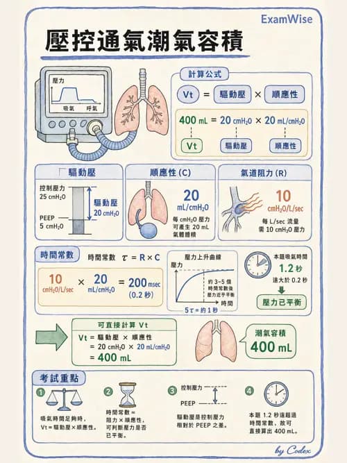 呼吸治療師 - 臨床設定、參數調整與脫離 - AI 圖文解析預覽