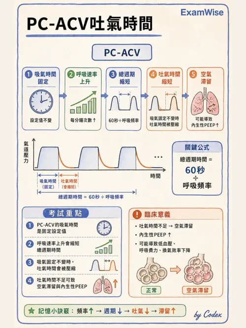 呼吸治療師 - 臨床設定、參數調整與脫離 - AI 圖文解析預覽