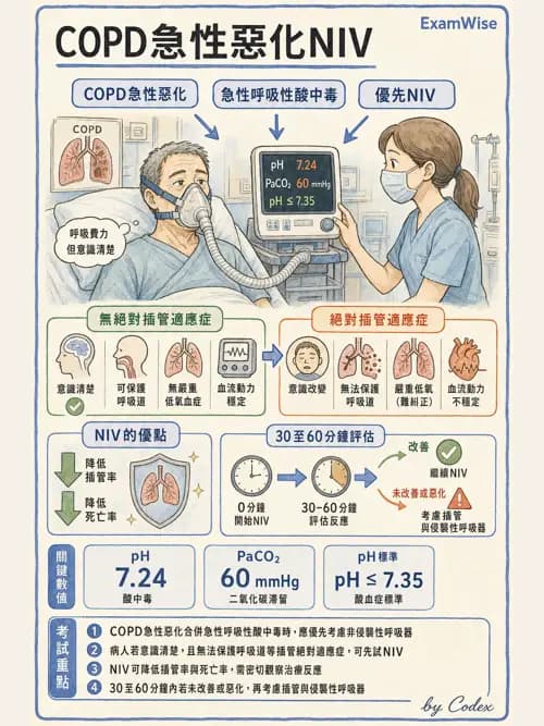 呼吸治療師 - 非侵襲性與居家通氣 - AI 圖文解析預覽