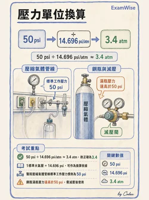 呼吸治療師 - 機械通氣生理 - AI 圖文解析預覽