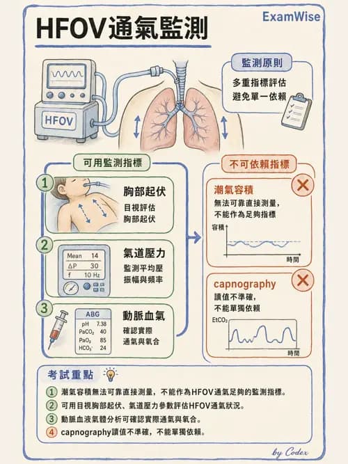 呼吸治療師 - 呼吸器監測與評估 - AI 圖文解析預覽