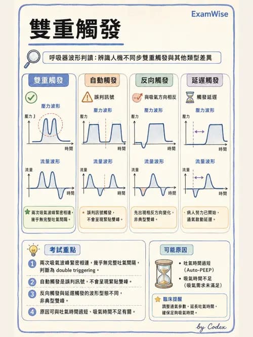 呼吸治療師 - 呼吸器圖形判讀與故障排除 - AI 圖文解析預覽