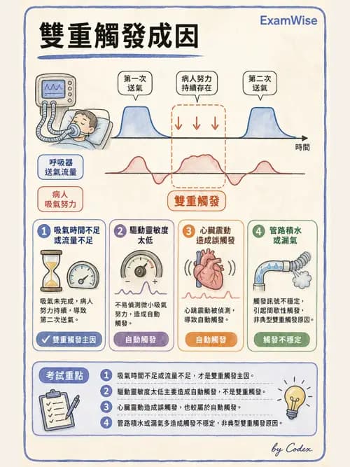 呼吸治療師 - 呼吸器監測與評估 - AI 圖文解析預覽