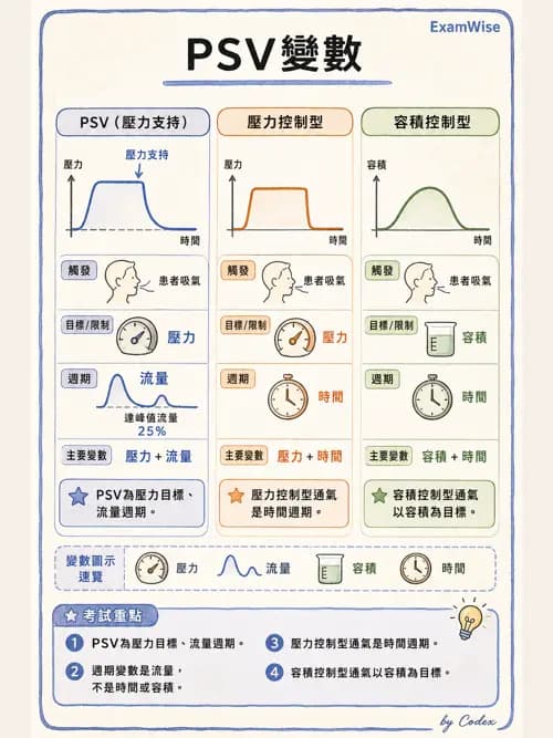 呼吸治療師 - 呼吸器設計與通氣模式 - AI 圖文解析預覽