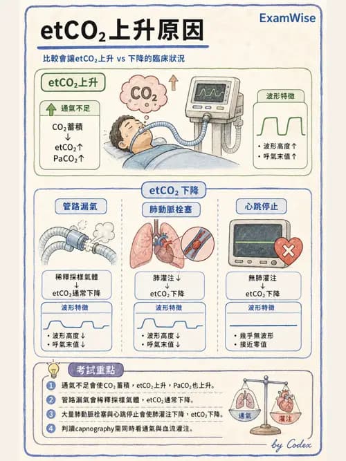 呼吸治療師 - 呼吸器監測與評估 - AI 圖文解析預覽