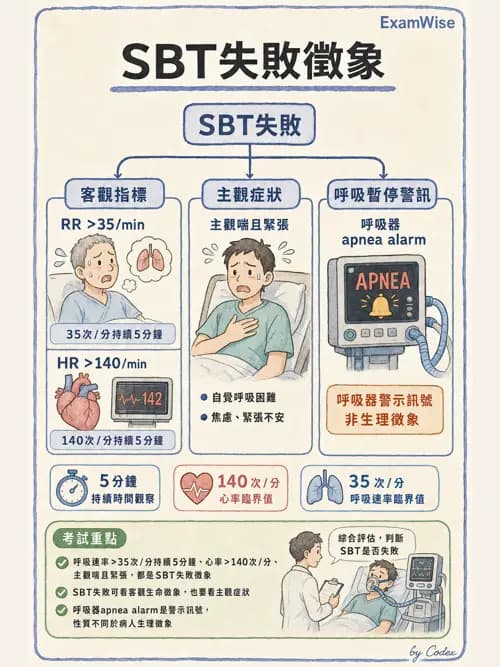 呼吸治療師 - 呼吸器監測與評估 - AI 圖文解析預覽