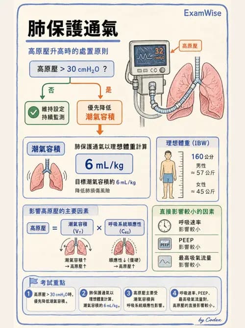 呼吸治療師 - 呼吸器監測與評估 - AI 圖文解析預覽