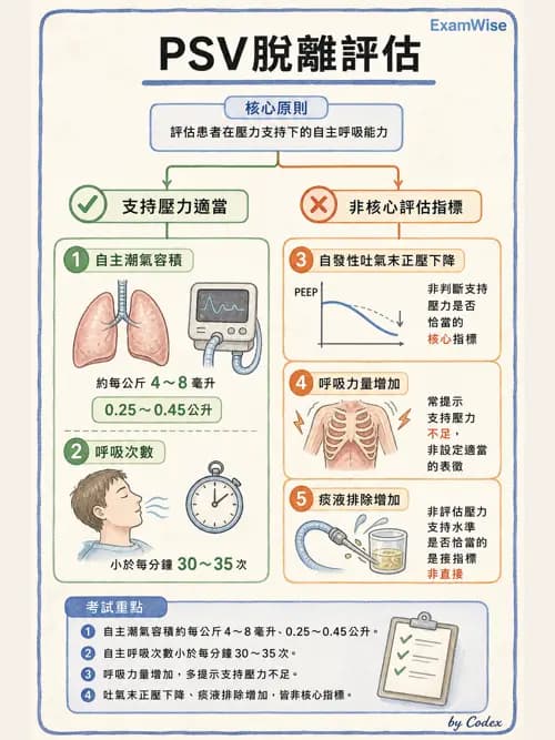 呼吸治療師 - 臨床設定、參數調整與脫離 - AI 圖文解析預覽