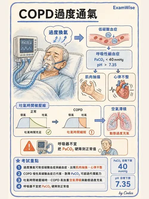 呼吸治療師 - 正壓通氣生理影響與合併症 - AI 圖文解析預覽
