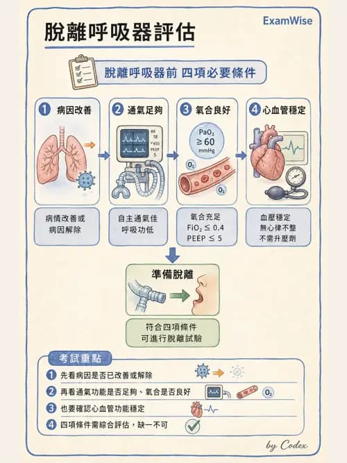 呼吸治療師 - 臨床設定、參數調整與脫離 - AI 圖文解析預覽