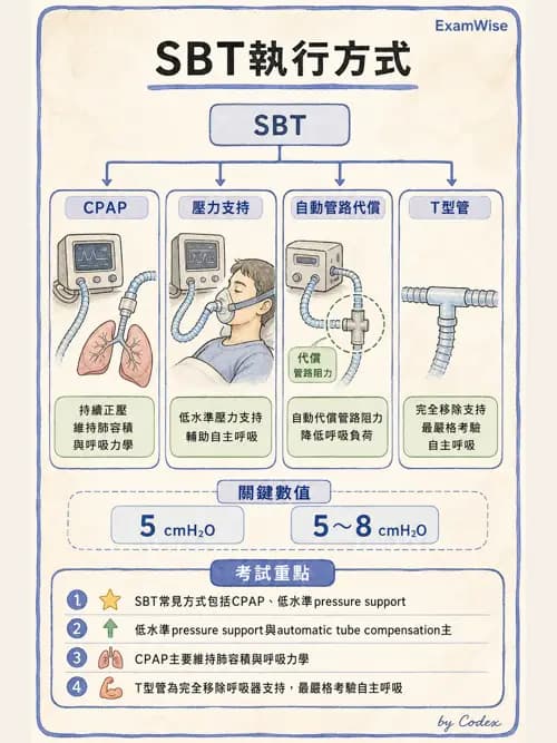 呼吸治療師 - 臨床設定、參數調整與脫離 - AI 圖文解析預覽