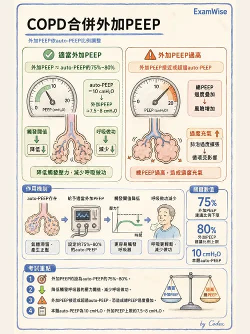 呼吸治療師 - 臨床設定、參數調整與脫離 - AI 圖文解析預覽