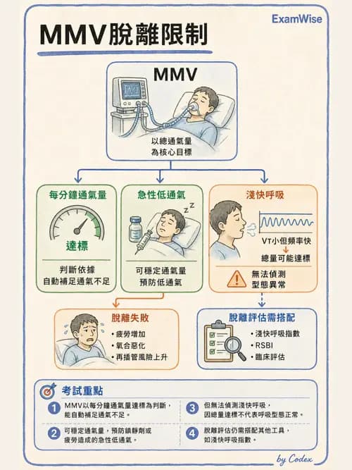 呼吸治療師 - 臨床設定、參數調整與脫離 - AI 圖文解析預覽