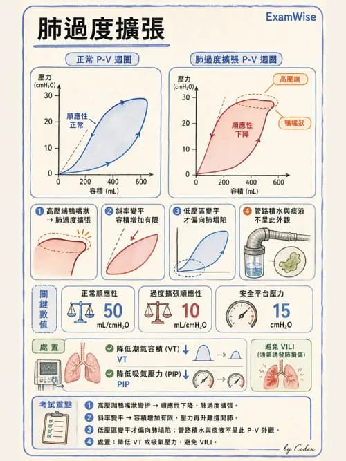 呼吸治療師 - 呼吸器圖形判讀與故障排除 - AI 圖文解析預覽