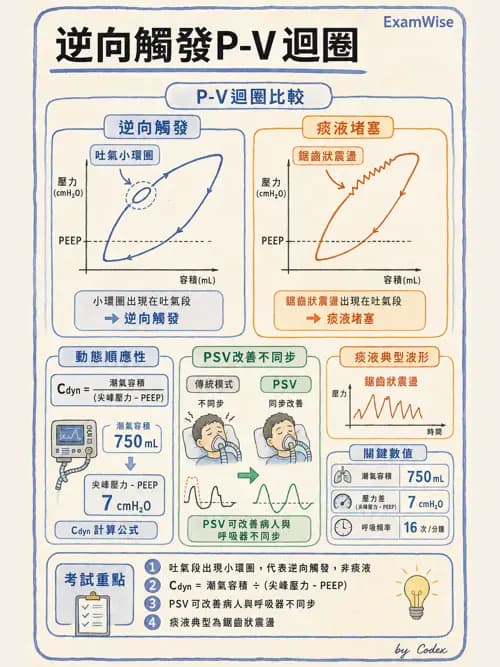 呼吸治療師 - 呼吸器圖形判讀與故障排除 - AI 圖文解析預覽