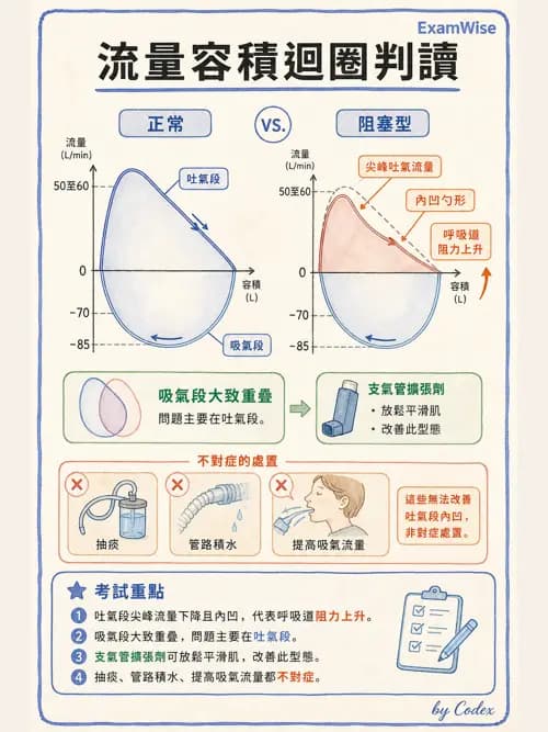 呼吸治療師 - 呼吸器圖形判讀與故障排除 - AI 圖文解析預覽