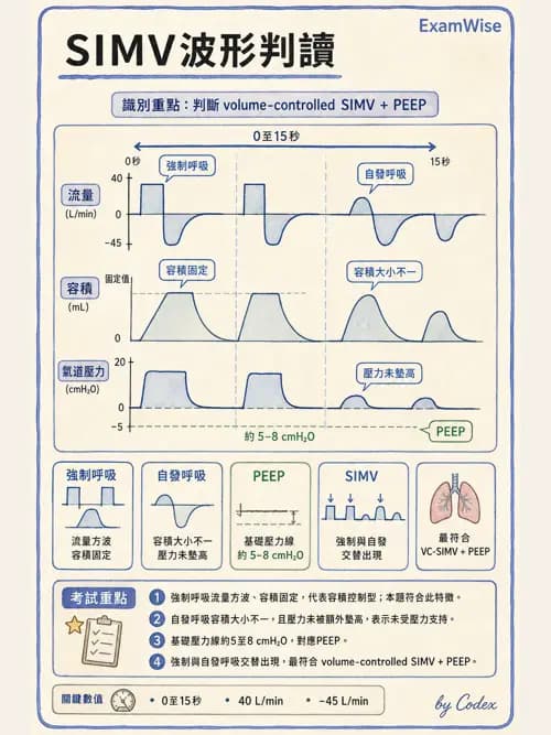 呼吸治療師 - 呼吸器圖形判讀與故障排除 - AI 圖文解析預覽