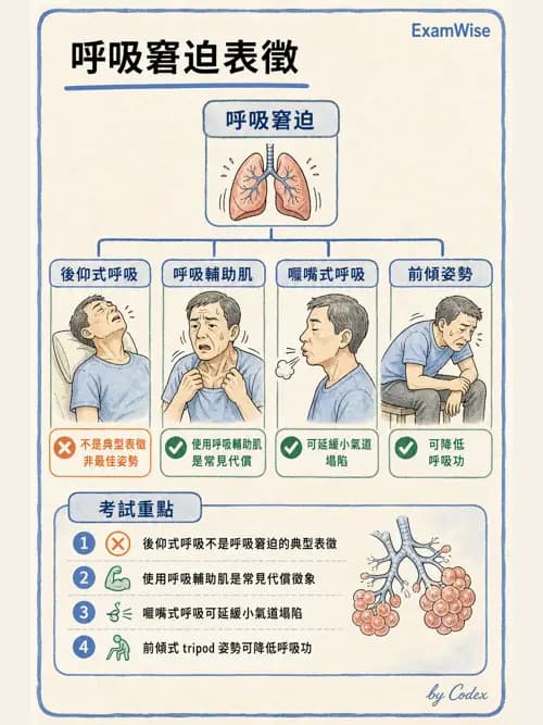 呼吸治療師 - 臨床設定、參數調整與脫離 - AI 圖文解析預覽