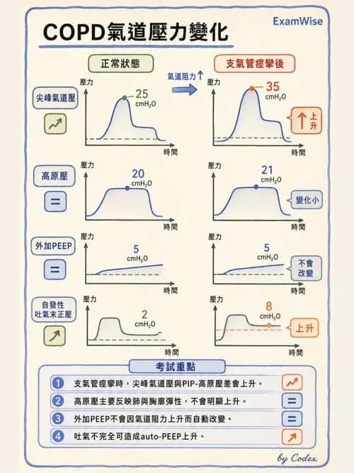 呼吸治療師 - 呼吸器圖形判讀與故障排除 - AI 圖文解析預覽