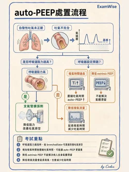 呼吸治療師 - 臨床設定、參數調整與脫離 - AI 圖文解析預覽