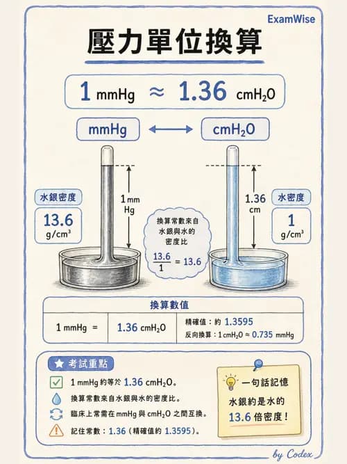 呼吸治療師 - 機械通氣生理 - AI 圖文解析預覽