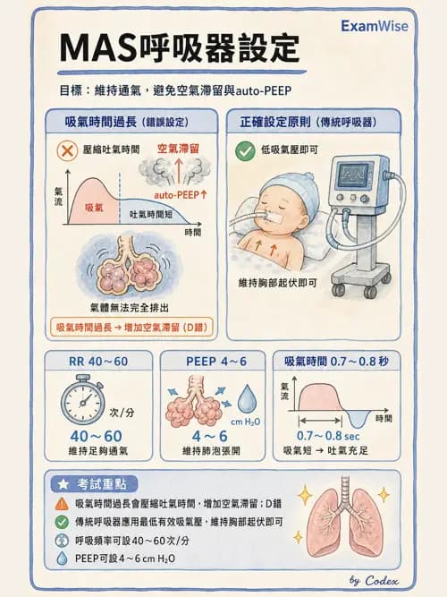 呼吸治療師 - 小兒呼吸器支持 - AI 圖文解析預覽