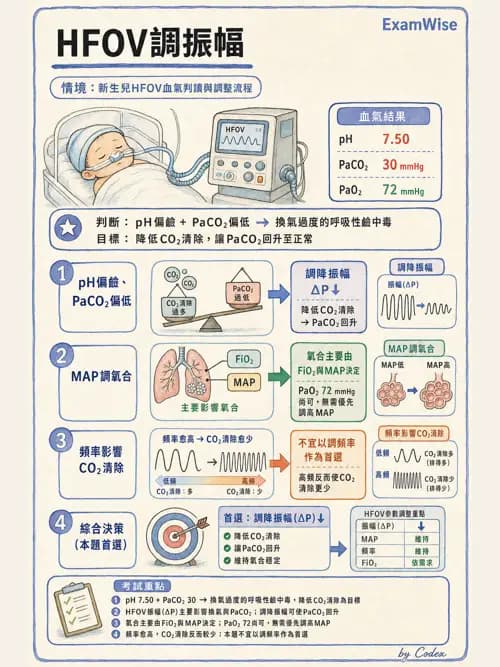 呼吸治療師 - 小兒呼吸器支持 - AI 圖文解析預覽